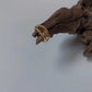 Twisted Cross Ring